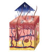 Sensitive Skin